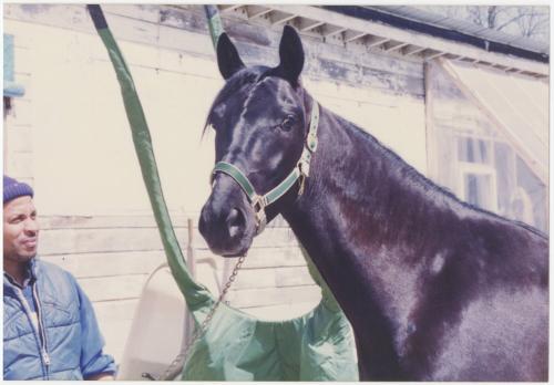 Gift of Theresa Wasielak McInnis, 2025.82.46, Connecticut Museum of Culture and History collect…