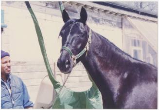 Gift of Theresa Wasielak McInnis, 2025.82.46, Connecticut Museum of Culture and History collect…