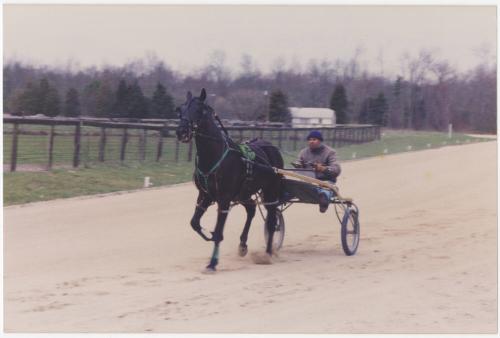 Gift of Theresa Wasielak McInnis, 2025.82.47, Connecticut Museum of Culture and History collect…