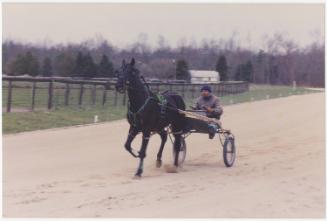 Gift of Theresa Wasielak McInnis, 2025.82.47, Connecticut Museum of Culture and History collect…