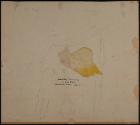 N.C. Brainard Acquisition Fund and Seymour Museum Fund Income, 1973.25.29, Connecticut Museum o…