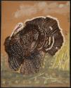 N.C. Brainard Acquisition Fund and Seymour Museum Fund Income, 1973.25.54, Connecticut Museum o…