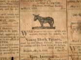 Advertisement for donkeys, dated "Bozrah, May 9, 1820".