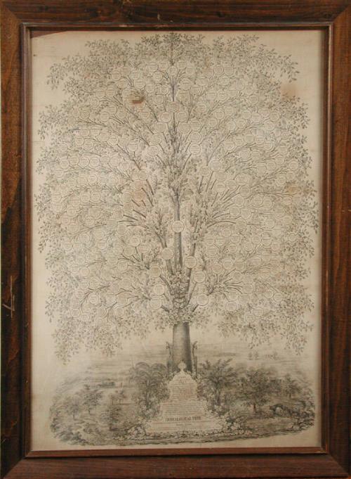 Genealogical Tree, Exhibiting in Lineal Order up to the Year 1813, the Descendants of / Isaac Cook.